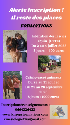 Alerte stage